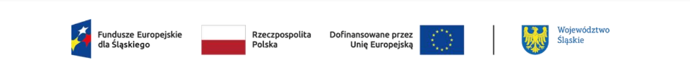 Logo dofinansowania
